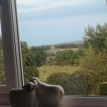 Greystones Pensjonat *